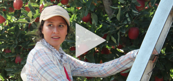 Image of video thumbnail