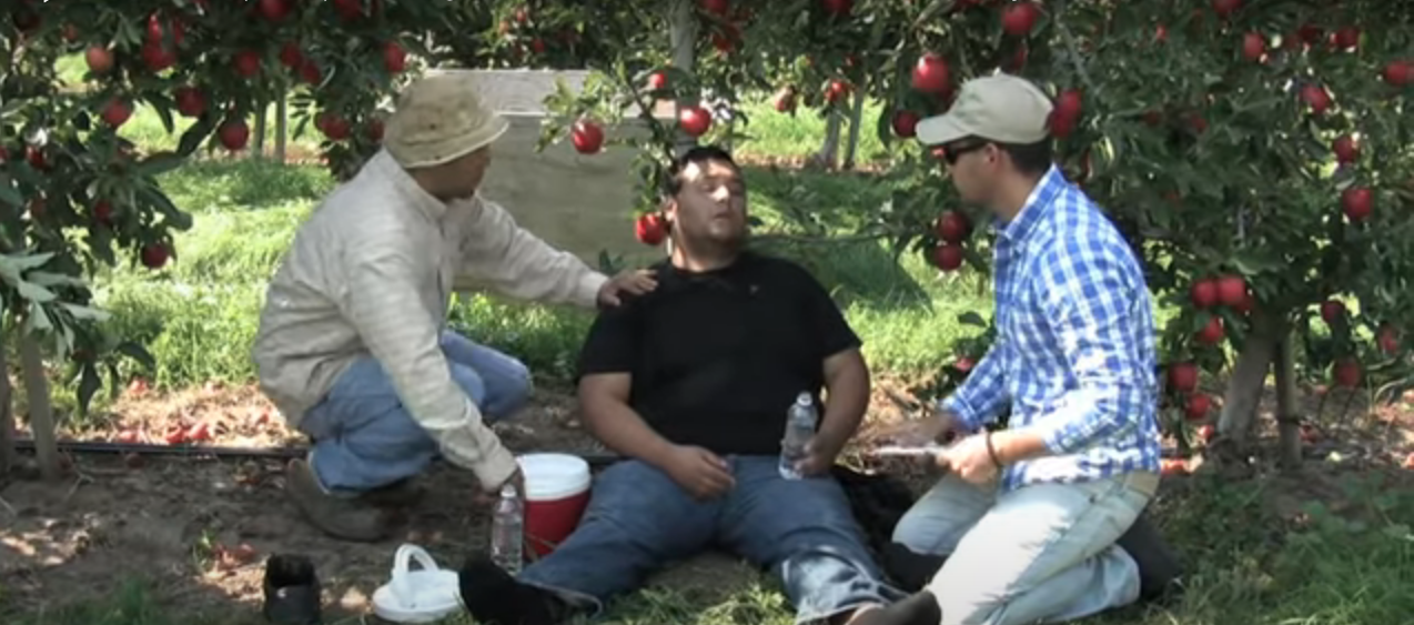 Image of video thumbnail