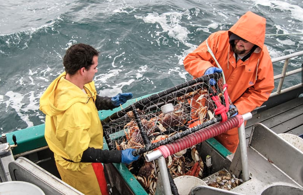 Image of crab fishermen