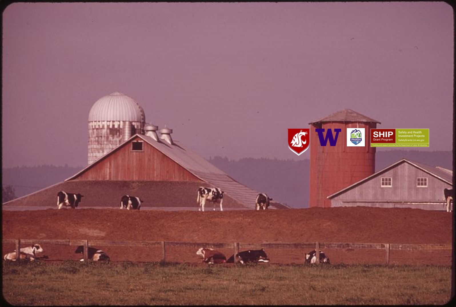 Dairy Safety Toolkit logo and dairy field