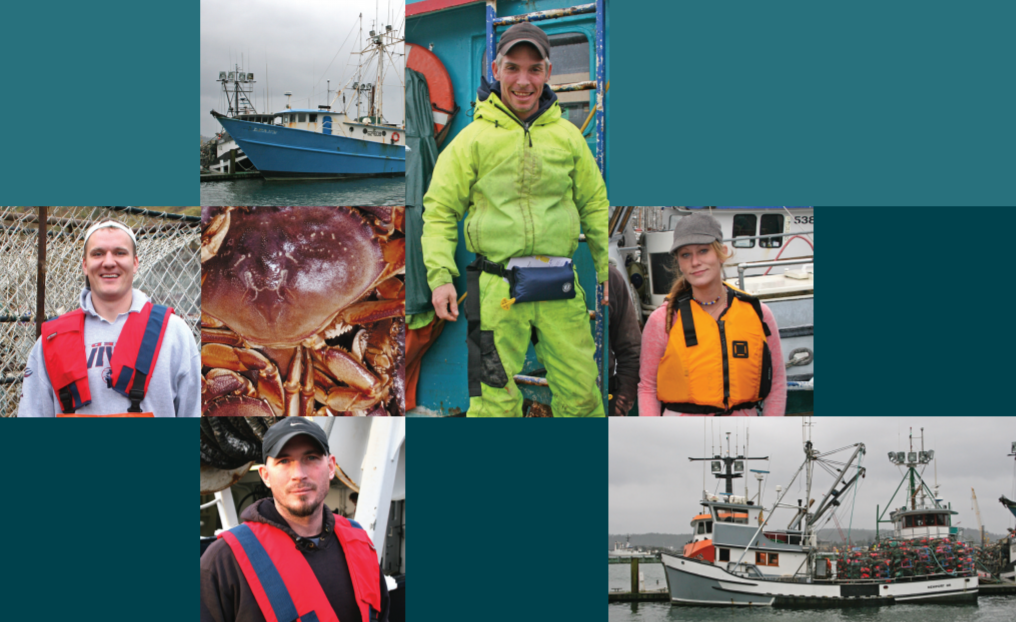 Photo of the cover of the report