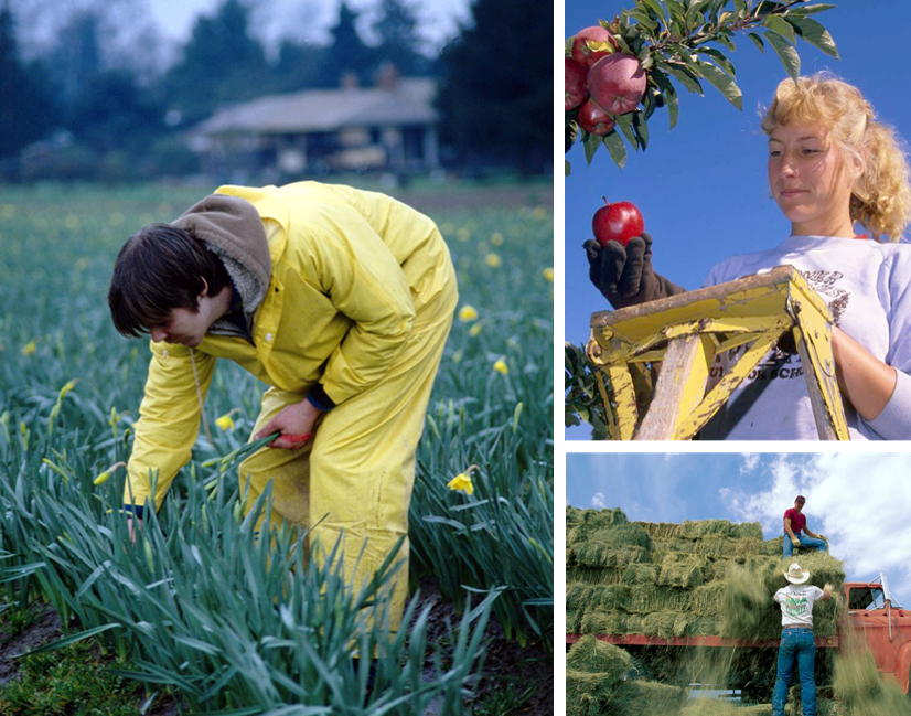 image of kids on the farm