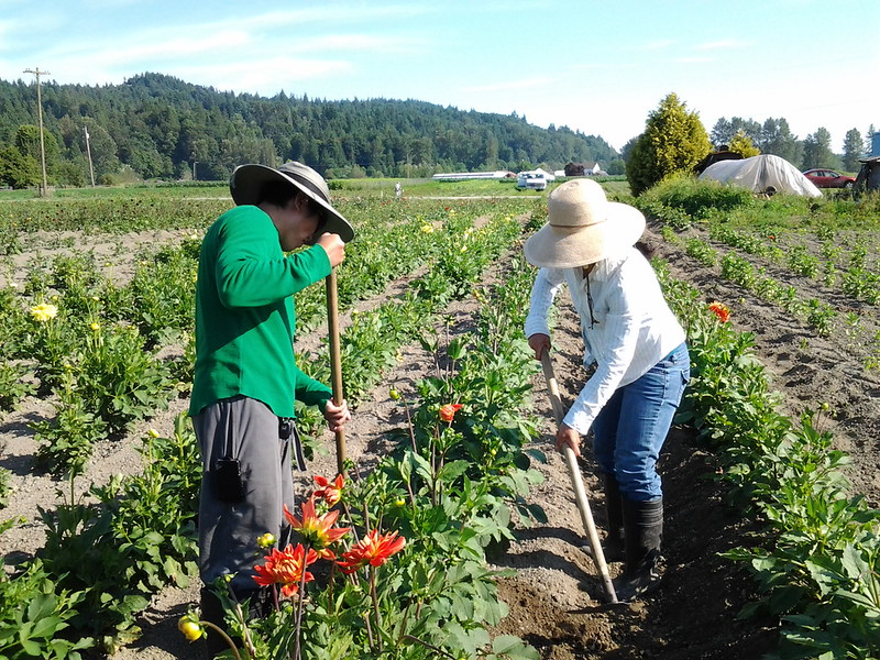 workers working in heat