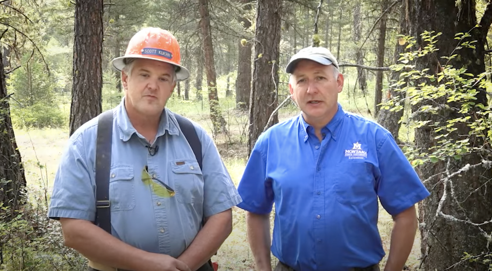 how to use a chainsaw safely part 2