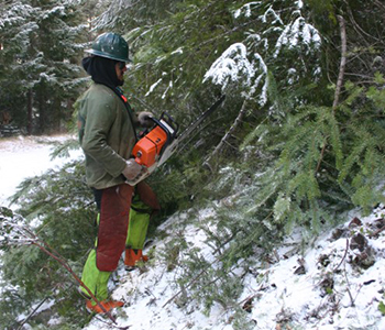 Person wearing blue helmet and green jacket stands in a snowy forest holding a chain saw.