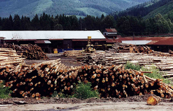 Large pile of cut logs with buildings and forested hills in background.