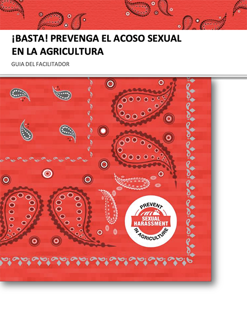 ¡Basta! Facilitator's Guide in Spanish