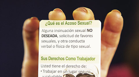 ¡Basta! Wallet cards