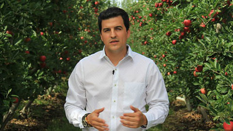 ¡Basta! Radio Novela (Spanish)