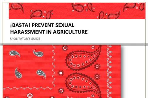 image of basta toolkit training guide