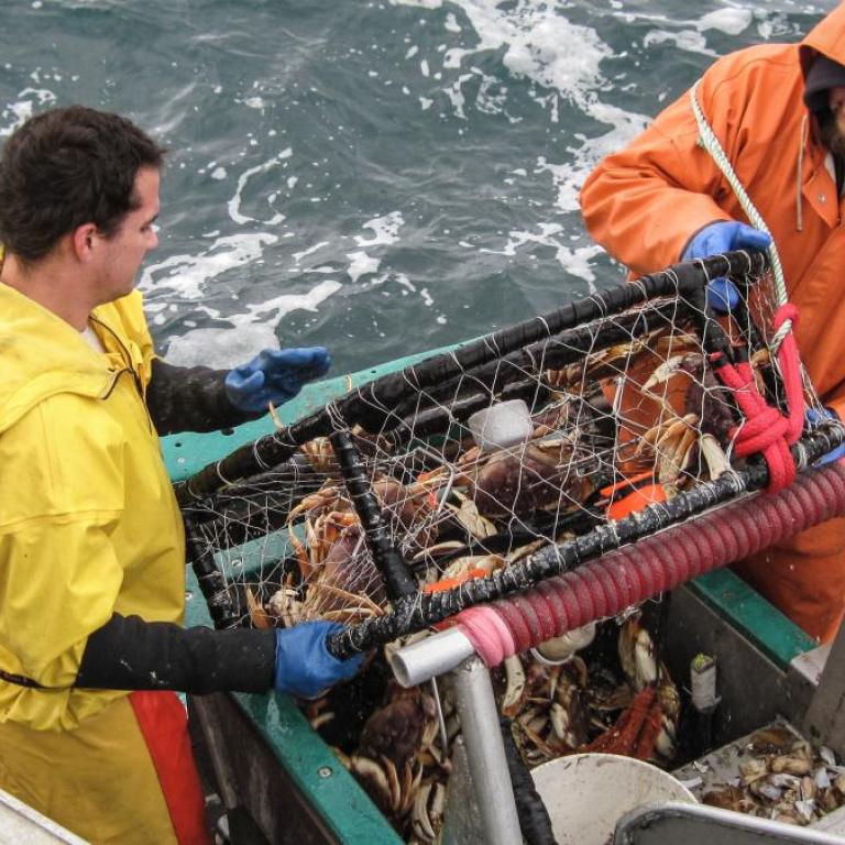 two commercial fishermen bringing in a crab pot