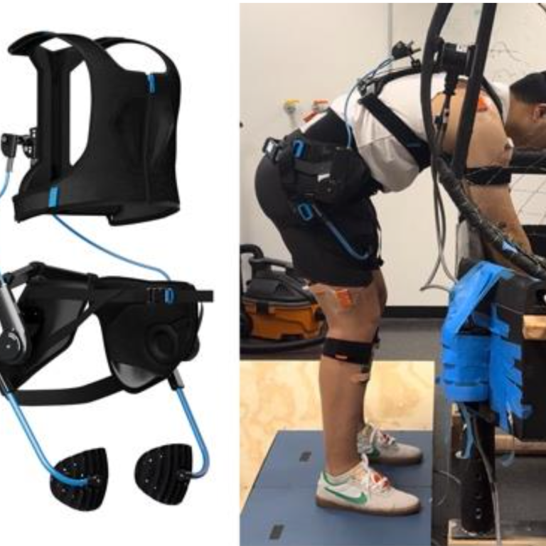 back support for lifting