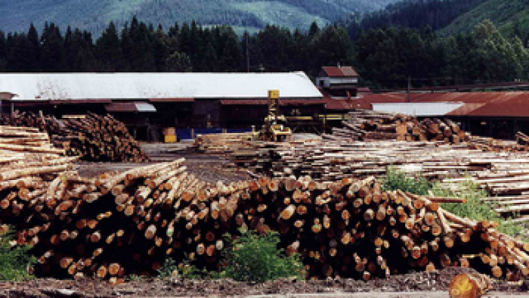 Large pile of cut logs with buildings and forested hills in background.