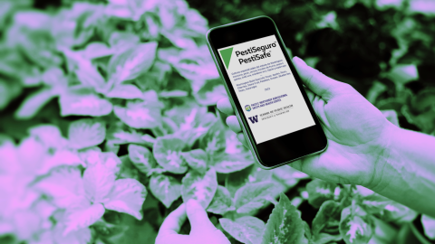 hands holding mobile phone