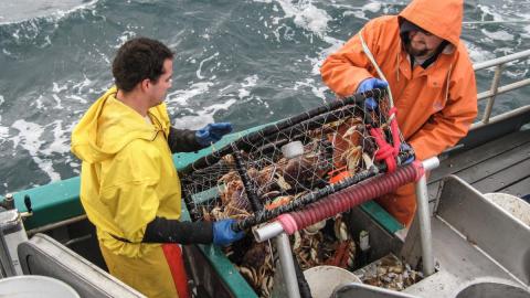 two commercial fishermen bringing in a crab pot